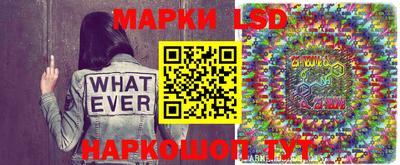 крисы Новозыбков