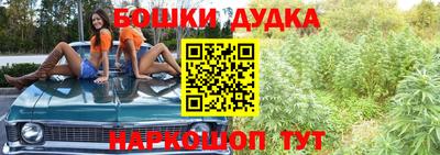 крисы Новозыбков