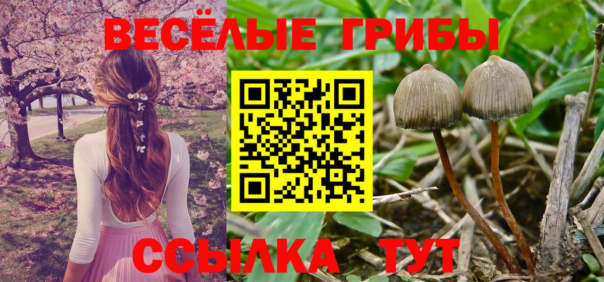 Псилоцибиновые грибы MAGIC MUSHROOMS  Вход с VPN  Усинск 